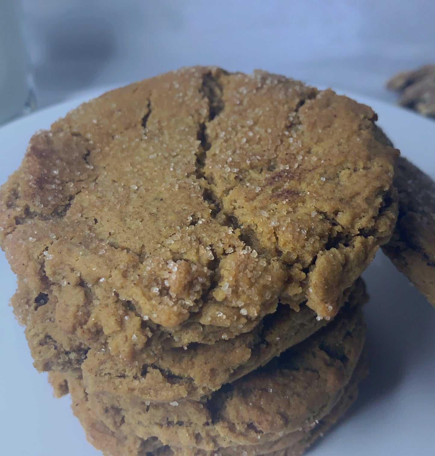 Soft and Chewy Gingerdoodles